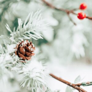 Merry and Meaningful Holiday Communications